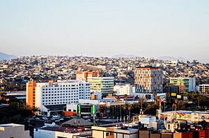 Zona Rio Tijuana