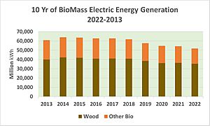 10 Years of Biomass Electric Energy Generation 2022-2013