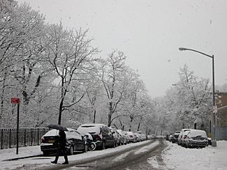 2013 Cabrini Boulevard in the snow 2