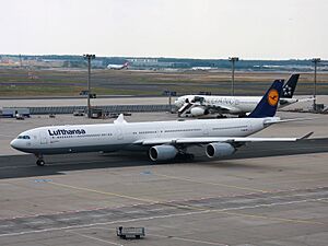 A340 D-AIHK EDDF 2009-08-09