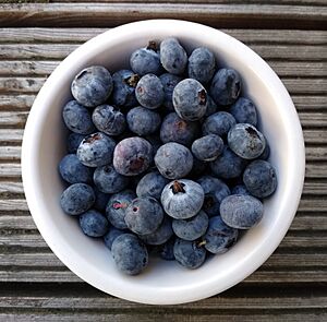 Aberdeenshire blueberries