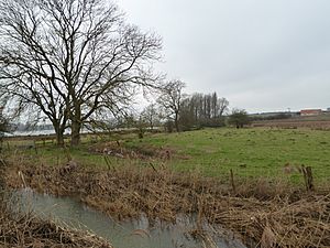 Aldwincle Marsh 5.jpg