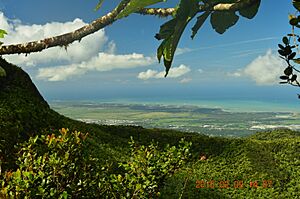 Awesome view form the Three Peaks in El Yunque