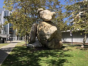 Bear, UC San Diego