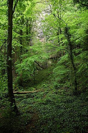 Below Wintour's Leap - geograph.org.uk - 812341
