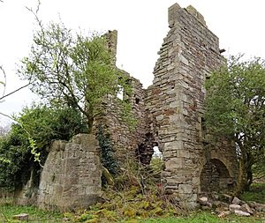 Blacksyke Tower. An old engine house, Caprington, East Ayrshire - detailed view from the west.jpg