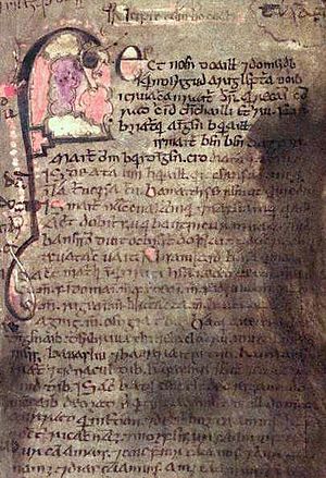 Book of Leinster, folio 53