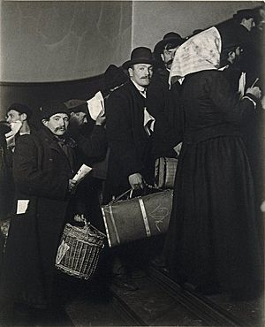 Brooklyn Museum - Climbing into the Promised Land Ellis Island - Lewis Wickes Hine