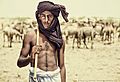 Camels are bred by Cholistani people which they sell for business, transportation, sacrifice and meat