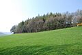 Castle ditches geograph-390993-by-Toby