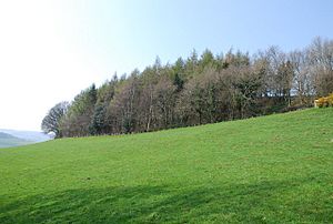 Castle ditches geograph-390993-by-Toby.jpg
