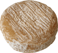 Cheese-picodon
