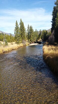 Colorado River at Coyote Valley Trail head 3