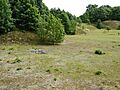 Creeting St Mary Pits 5
