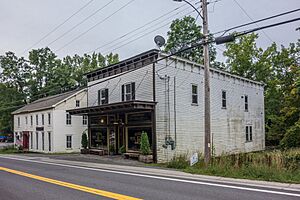 DeWitt Hotel (L) and Fords Store Durham NY