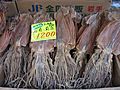 Dried cuttlefish (5184319530).jpg
