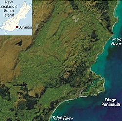 Ross Creek Reservoir is located in New Zealand Dunedin area