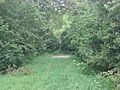 Eagle Creek Covered Bridge site