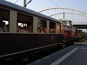 Ein Sonderzug des DWE zum Vulkanausbruch in Wörlitz 2005