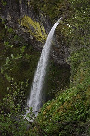 Elowah Falls 2597.JPG