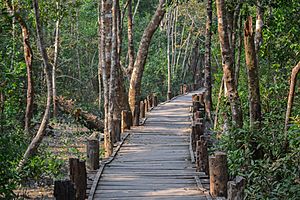 Entry of Sundarban Forest ,Bangladesh