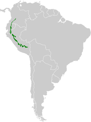 Epinecrophylla spodionota map.svg