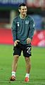 FIFA WC-qualification 2014 - Austria vs Ireland 2013-09-10 - Wes Hoolahan 12