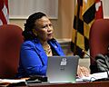 Fair Wage Act Finance Hearing (52722052306)