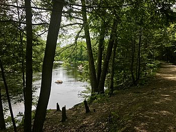 Farmington River Bank And River Road In Nepaug State Forest