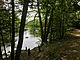 Farmington River Bank And River Road In Nepaug State Forest.jpg