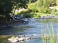 Fisherman at the Umpqua River