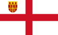 Flag of the Diocese of Newcastle