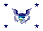 Flag of the United States Deputy Secretary of Homeland Security-vector