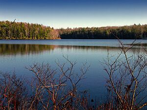 Flickr - Nicholas T - Lacawac Sanctuary (2)
