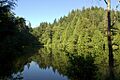 Fragrance Lake (4833720590)