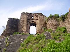 Gate of Pharwala Fort toward the Swaan stream