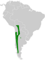 Geositta rufipennis map