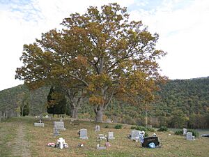 Ginevan Cemetery Little Cacapon WV 2008 10 13 03