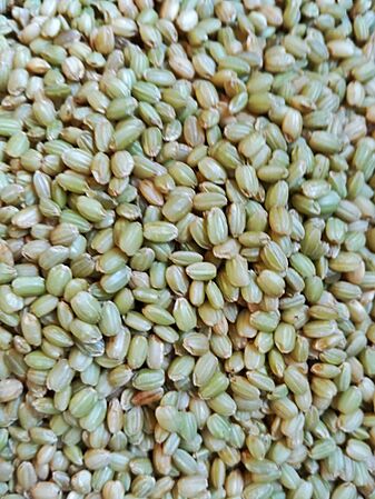 Green rice