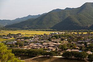 Hahoe 8784