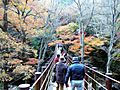 Hananuki valley Shiomi-taki bridge