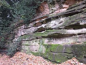 Highfields Park sandstone 9158