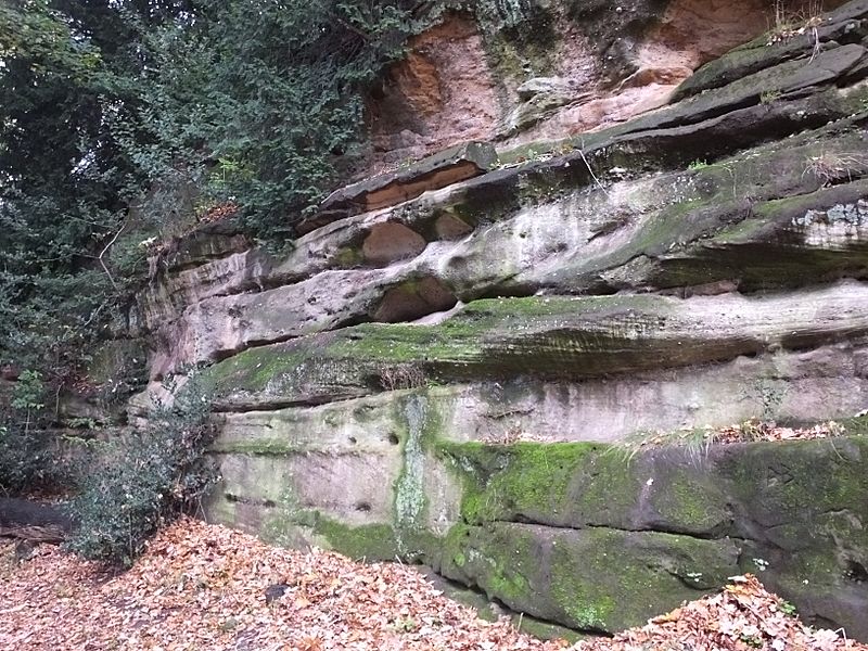 Highfields Park sandstone 9158
