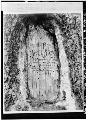 Historic American Buildings Survey Sacramento Chamber of Commerce Original- Re-photo- April 1940 VIEW OF MARKER - Carved Tree Marker, Tragedy Spring (historical), Amador County, CA HABS CAL,9-TRAG,1-1