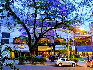 Hotel Sheraton de Porto Alegre