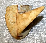 A long-nosed god maskette from the Yokem Mound Group in Pike County, Illinois