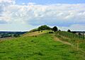 Long view of Long Knoll - geograph.org.uk - 946041