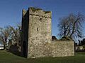 Lyonscastle1