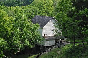 MILL SPRINGS MILL