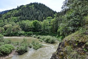 Middle Fork Coquille River from bridge.jpg